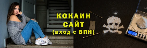 крисы Алексин