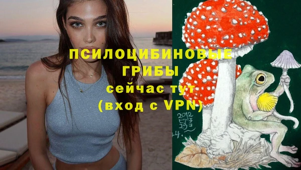 spice Алексеевка