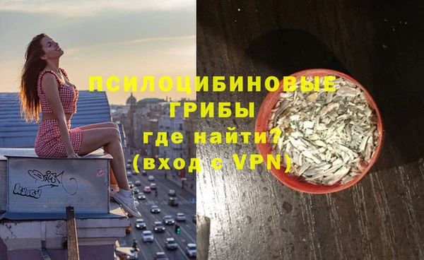 spice Алексеевка