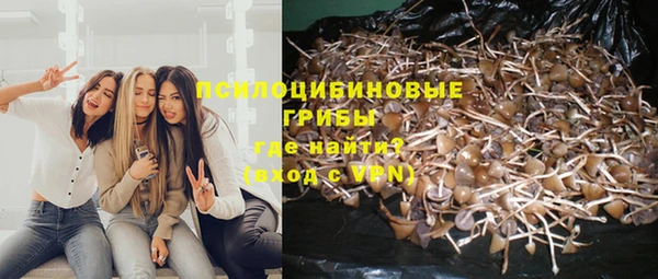 spice Алексеевка