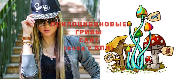 крисы Алексин