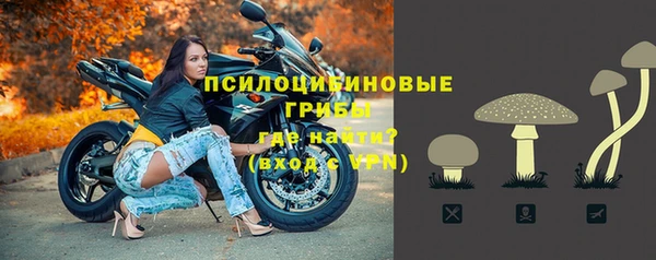 spice Алексеевка